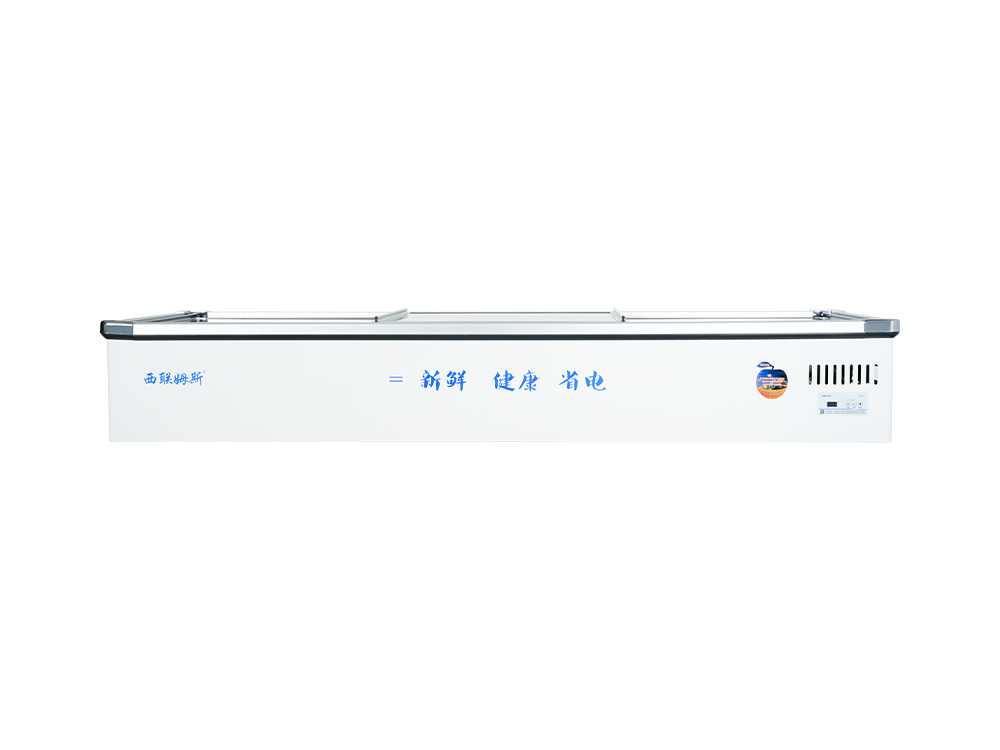 台式款冷冻海鲜柜