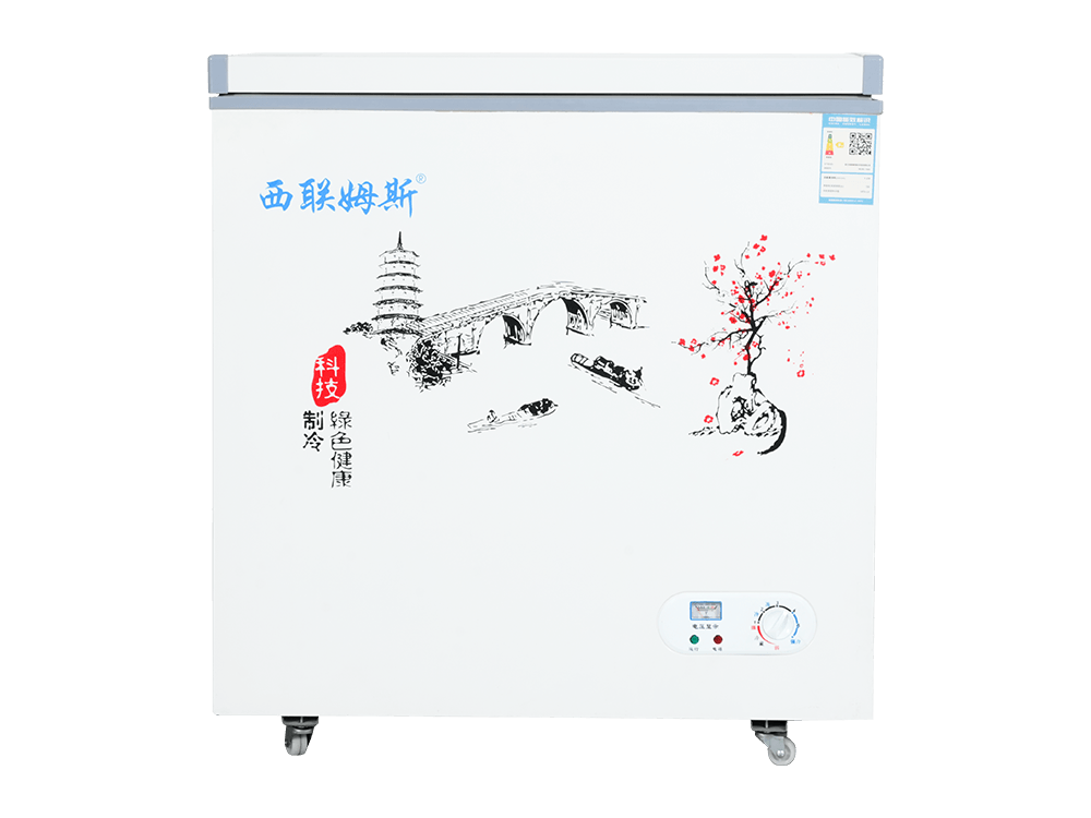 上门胸部冰柜